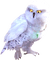 Kaz_Creations Birds Bird Owls Owl - gratis png geanimeerde GIF