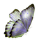 butterflies katrin - бесплатно png анимированный гифка
