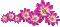Flower7 Fleurs - Darmowy animowany GIF animowany gif