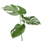 листьягуля - бесплатно png анимированный гифка