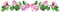 vintage border flowers pink bow - ilmainen png animoitu GIF