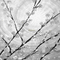 Y.A.M._Japan landscape background black-white - Бесплатный анимированный гифка анимированный гифка