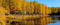 paysage automnale - Безплатен анимиран GIF
