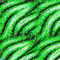 glitter zebra stripes - GIF animé gratuit GIF animé