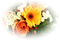 Kaz_Creations  Flowers - δωρεάν png κινούμενο GIF