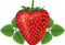Strawberry Bb2 - darmowe png animowany gif