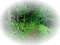 bosque - png gratuito GIF animata