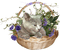 Frühling printemps spring cat - бесплатно png анимированный гифка