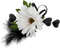 Flowers white bp - zdarma png animovaný GIF