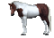 cheval - Darmowy animowany GIF animowany gif