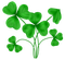 Kaz_Creations St.Patricks Day Deco - ücretsiz png animasyonlu GIF