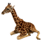 girafe - png gratuito GIF animata