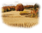 paysage - безплатен png анимиран GIF