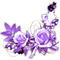 Roses purple - Nemokamas animacinis gif
