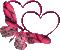 coeur papillon  1 - GIF animado gratis GIF animado