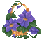 violeta - Δωρεάν κινούμενο GIF κινούμενο GIF