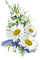 blommor-vita----flowers-white - 免费PNG 动画 GIF