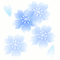 Webcore cherry blossom blossoms background - Gratis animeret GIF animeret GIF