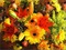 Kaz_Creations Backgrounds Background Flowers - darmowe png animowany gif