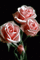 Flowers pink rose bp - Бесплатный анимированный гифка анимированный гифка