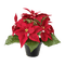 Plants.Pot.Vase.Christmas.Noël.Victoriabea - PNG gratuit GIF animé