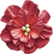 Flower Blume red yellow - png gratis GIF animado