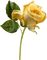 yellow rose - png gratis GIF animasi