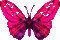 papillon - Bezmaksas animēts GIF animēts GIF