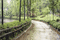 MMarcia gif paisagem chuva - Безплатен анимиран GIF анимиран GIF
