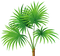 palmera - ilmainen png animoitu GIF