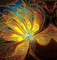 Rena Fantasy Glitter Hintergrund Background - Бесплатный анимированный гифка анимированный гифка