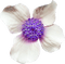 Kaz_Creations Deco Flower Knights Tale - PNG gratuit GIF animé