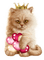chat  idca - 免费PNG 动画 GIF