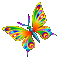 butterfly - 免费动画 GIF 动画 GIF