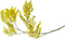 mimosen milla1959 - Free PNG Animated GIF