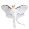 luna moth 3 - nemokama png animuotas GIF