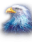 Rena Adler blue blau eagle - PNG gratuit GIF animé
