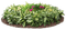 Gartenbeet - Free PNG Animated GIF