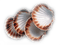 shellfish deco - Free PNG Animated GIF