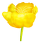 yellow flower - gratis png geanimeerde GIF