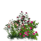 garden - zadarmo png animovaný GIF