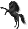 Horse-RM - besplatni png animirani GIF