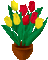 tulipe - Бесплатный анимированный гифка анимированный гифка