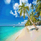 kikkapink summer beach animated background - GIF เคลื่อนไหวฟรี GIF แบบเคลื่อนไหว