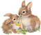 Kaz_Creations Easter Deco Bunny Rabbit - PNG gratuit GIF animé