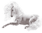 einhorn unicorn milla1959 - Free PNG Animated GIF