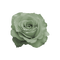 kikkapink deco scrap white rose flower - png gratis GIF animado