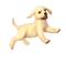 Nintendogs dog - ingyenes png animált GIF
