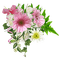 Цветы. - 免费PNG 动画 GIF