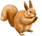 Kaz_Creations Squirrel